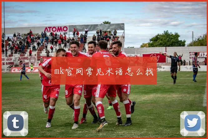 mk官网常见术语怎么找