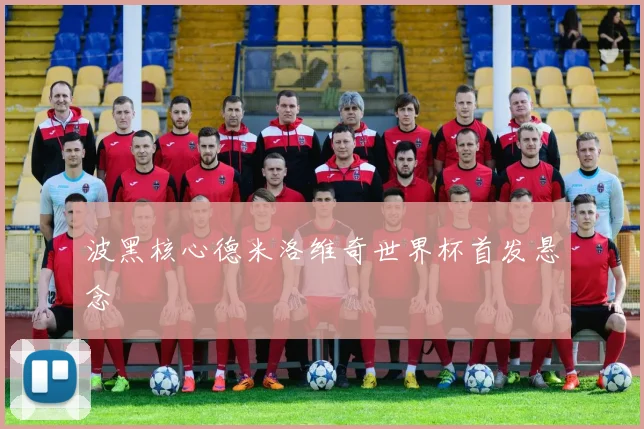 波黑核心德米洛维奇世界杯首发悬念