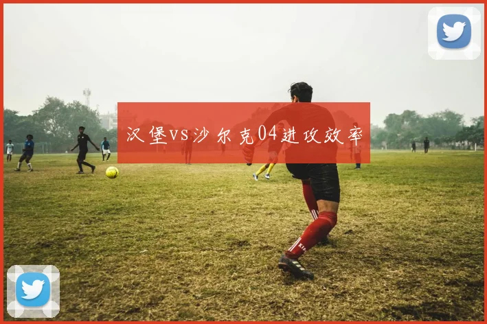 汉堡vs沙尔克04进攻效率