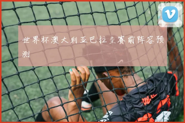 世界杯澳大利亚巴拉圭赛前阵容预测