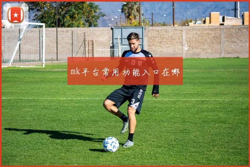 mk平台常用功能入口在哪